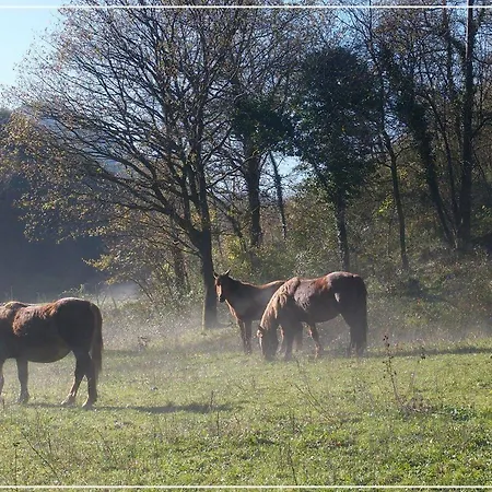 I Balzani Bed & Breakfast Matelica