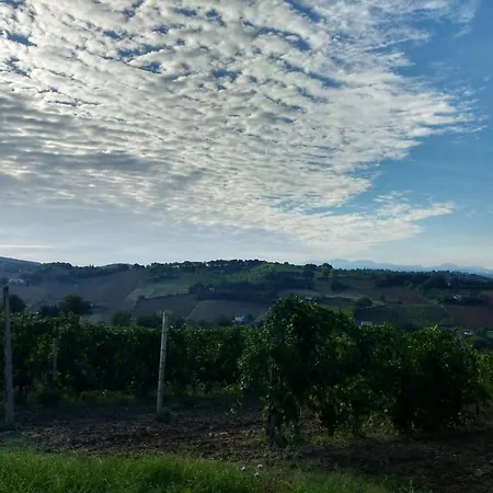 I Balzani Matelica