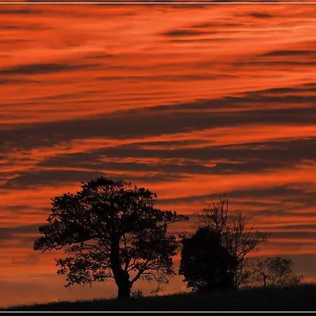 לינה וארוחת בוקר I Balzani 3*