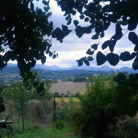 I Balzani Matelica