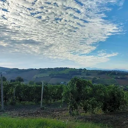 I Balzani 3* Matelica